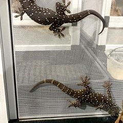 89位のイメージ