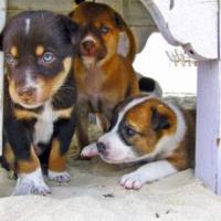 25位のイメージ