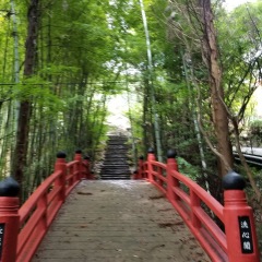 61位のイメージ