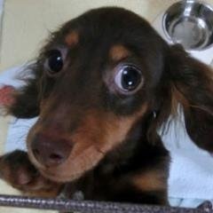 12位のイメージ