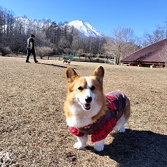 23位のイメージ