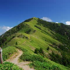 26位のイメージ