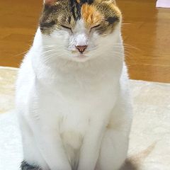 135位のイメージ