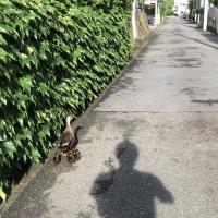 2785位のイメージ