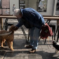 36位のイメージ