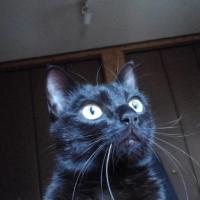 118位のイメージ