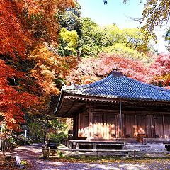 151位のイメージ