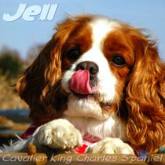 20位のイメージ