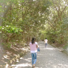 46位のイメージ