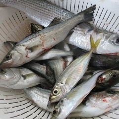 16位のイメージ