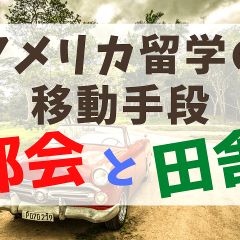 49位のイメージ