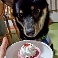 155位のイメージ