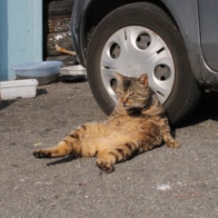 40位のイメージ