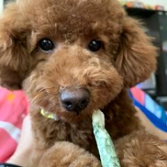 91位のイメージ