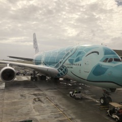 147位のイメージ