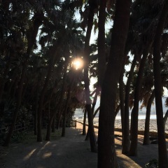 54位のイメージ