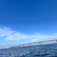 12位のイメージ