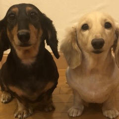 55位のイメージ