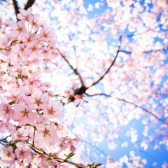 27位のイメージ