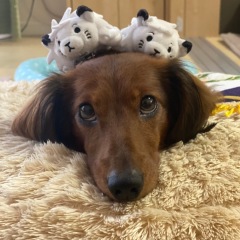 26位のイメージ