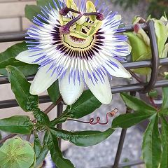 1681位のイメージ