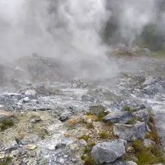 26位のイメージ