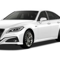 191位のイメージ