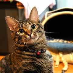 43位のイメージ