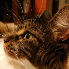 116位のイメージ