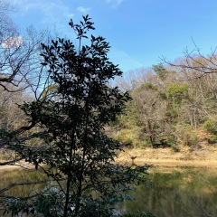 19位のイメージ