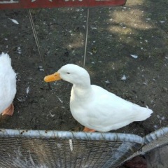 14位のイメージ