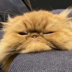 91位のイメージ