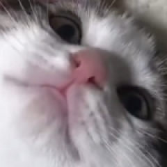 30位のイメージ