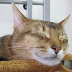 95位のイメージ