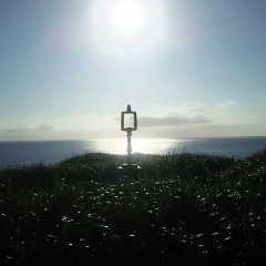 281位のイメージ