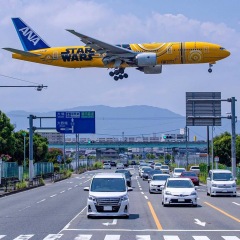 81位のイメージ