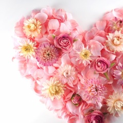 70位のイメージ