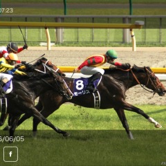 66位のイメージ