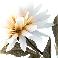 51位のイメージ