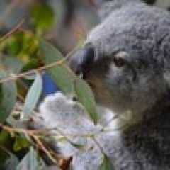 40位のイメージ