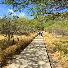 アラフィフからの小遣い投資 人気ブログランキング