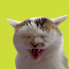 58位のイメージ