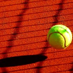 44位のイメージ