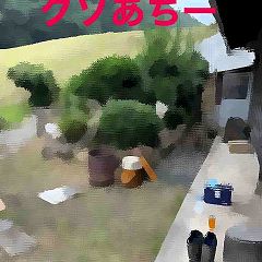 33位のイメージ