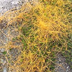 58位のイメージ