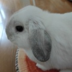 63位のイメージ