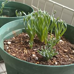 24位のイメージ