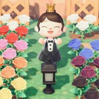 198位のイメージ