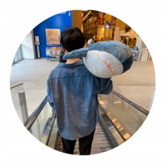 31位のイメージ