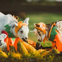 10位のイメージ